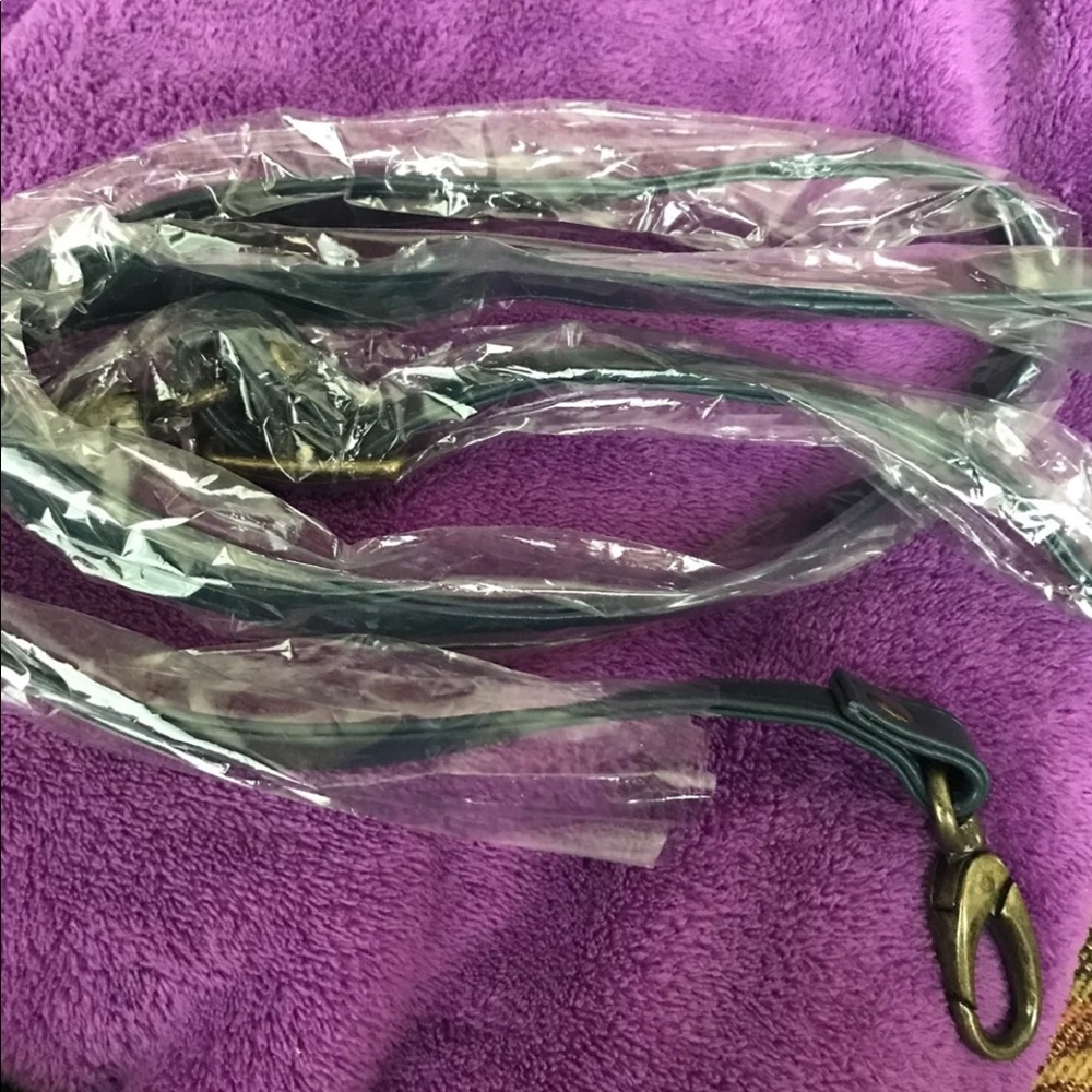 Purse belt